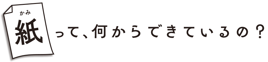 紙って何からできているの？