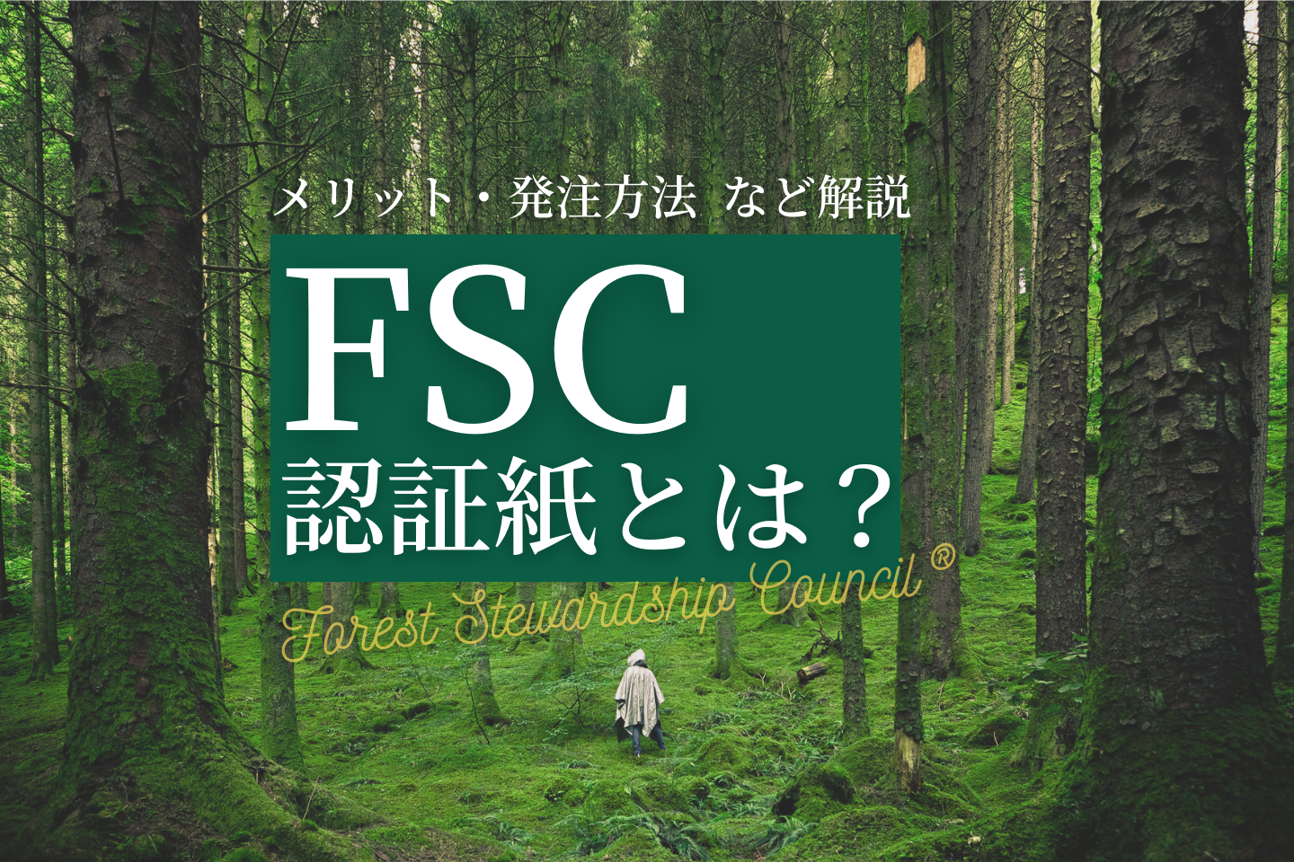 FSC®認証紙とは？サムネイル画像