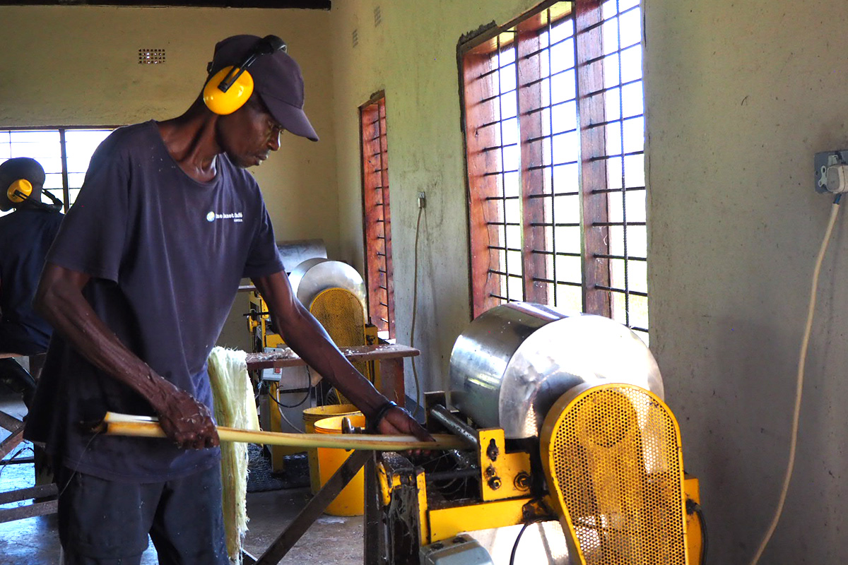 ザンビア現地の様子（バナナの茎を機械を使って繊維状にする工程）