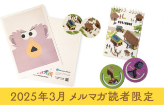 メルマガ読者限定！バナナペーパーノベルティサンプルキット