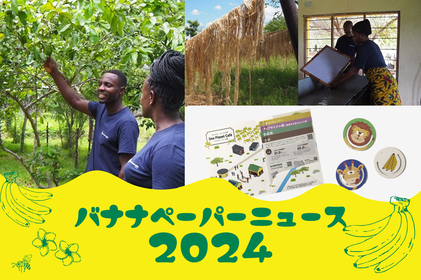 🍌2024年度のバナナペーパーニュース🍌