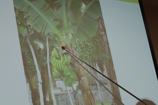 【事後レポート】こどもエコクラブ様にて「紙とSDGsものがたり」ワークショップを実施しました!