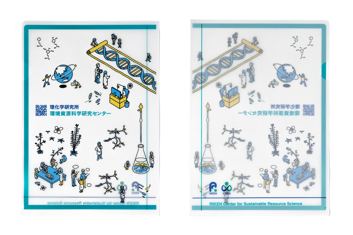 トレーシングペーパータイプの紙ファイル／理化学研究所　環境資源科学研究センター様